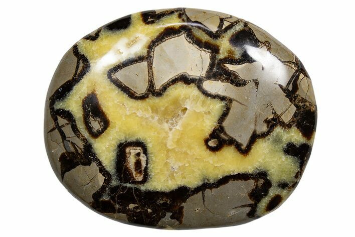 Gorgeous, Polished Septarian Stone - Madagascar #341866